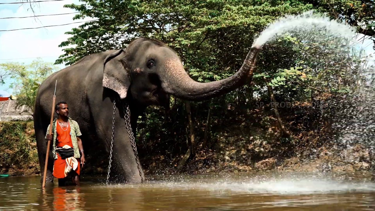 ILANKAI - Magical ISLAND (Sri Lanka)
