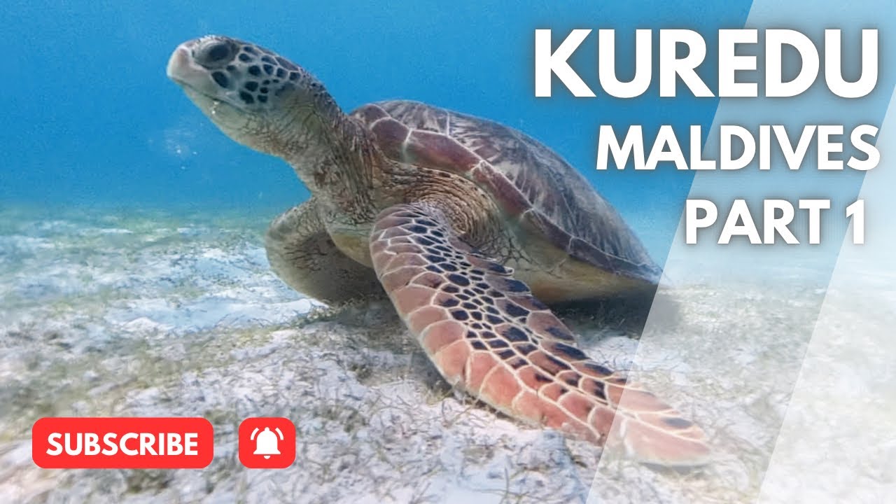Kuredu, Maldives - Part 1: Best Bits