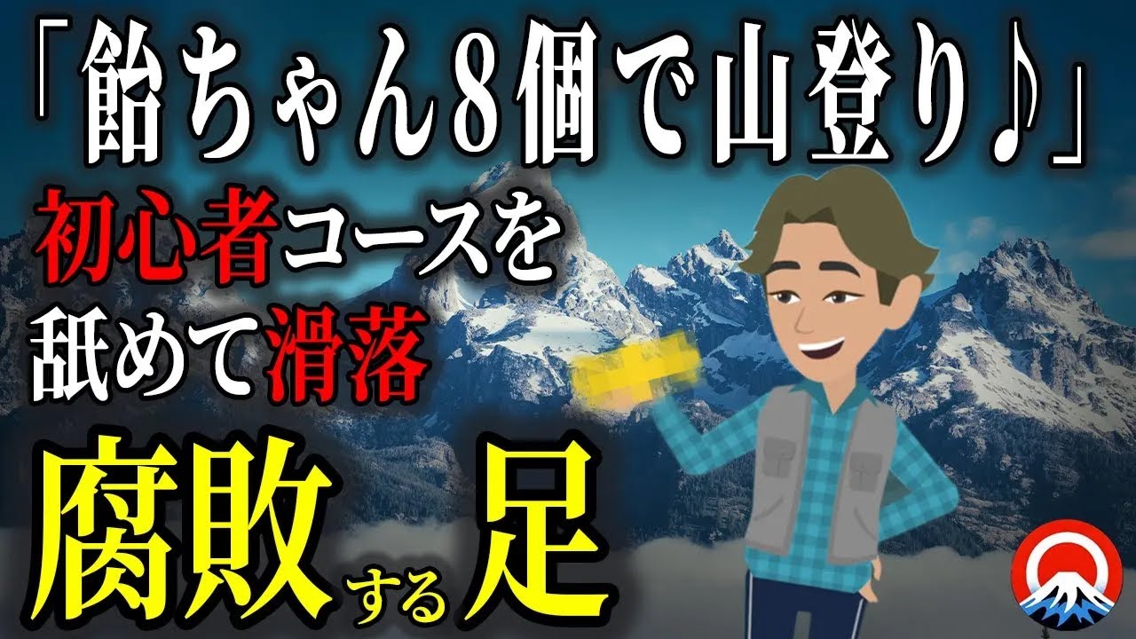 【総集編】たった8個の飴と水だけ、、初心者コースを舐めた男性の衝撃の結末とは、、2010年 両神山遭難事故【地形図とアニメーションで解説】