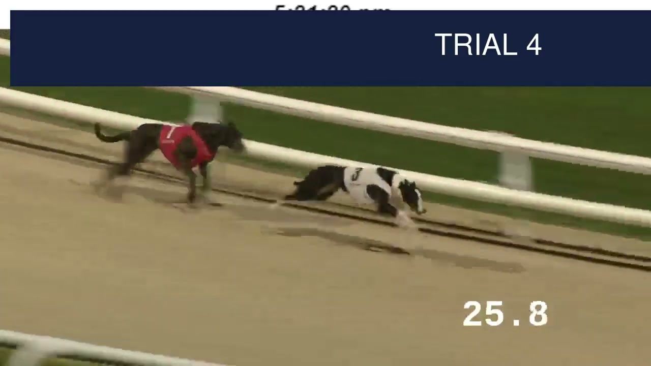 Dunstall Park Trials on 28th January 2026