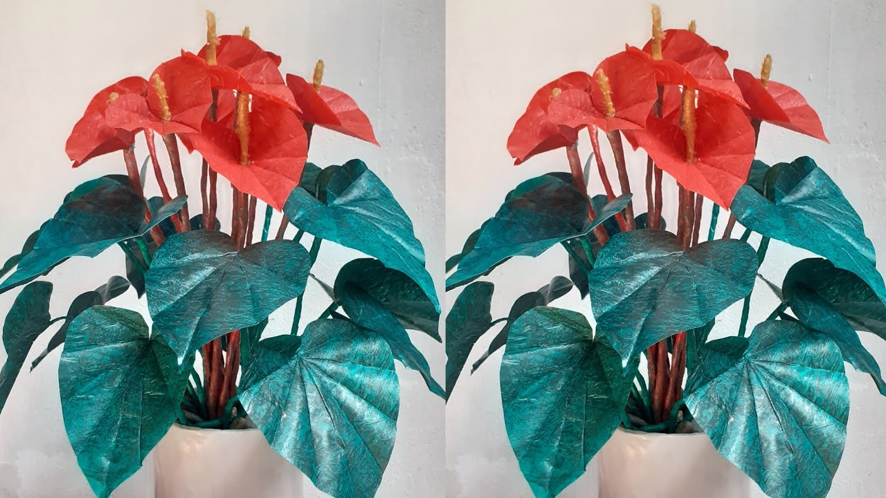 Tanaman Hias Anthurium dari Plastik Kresek || Ornamental Plant From Plastic Bag || Bunga dari Kresek