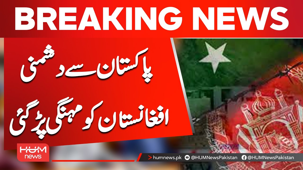 Afghanistan Pays the Price? Massive Trade Loss After Tensions With Pakistan | Hum News | Pakistan
