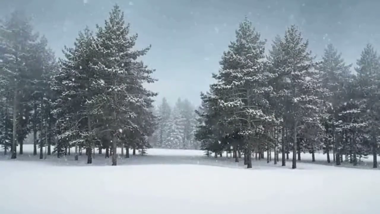 Step into a quiet winter world ❄️
