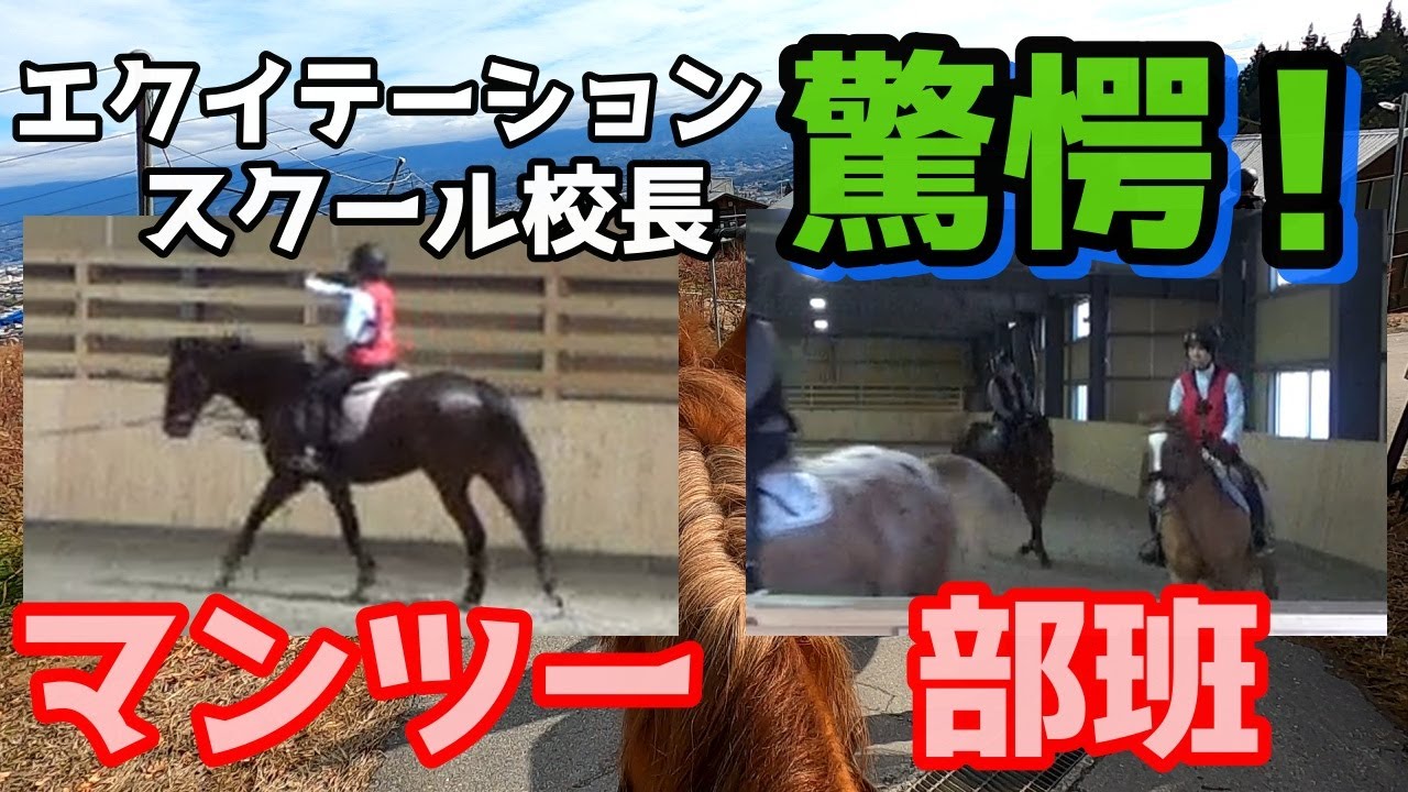 【乗馬初心者】７万再生！あのレッスンを受けて来ました！坐骨って！？随伴って！？初めてのアプローチに全身筋肉痛！片道６時間かけても行って良かった！