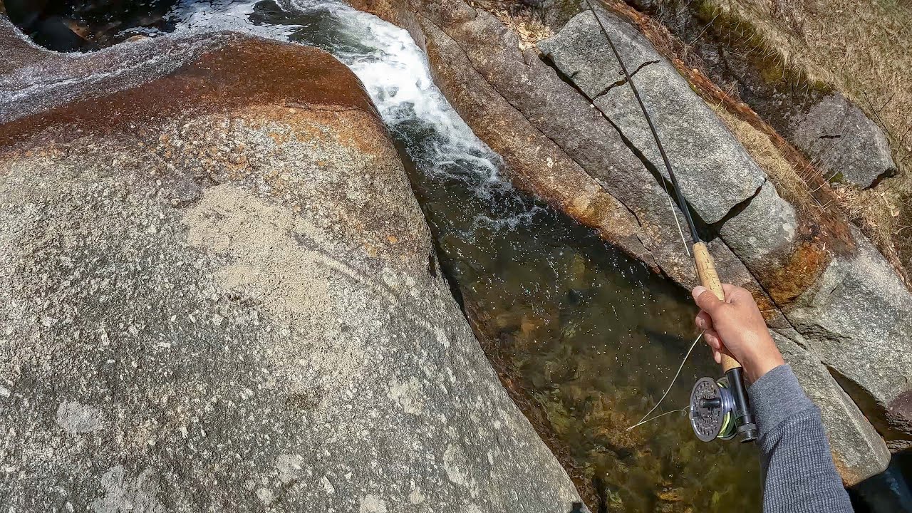 These Plunge Pools were FULL of BROOK TROUT (White Mountains)