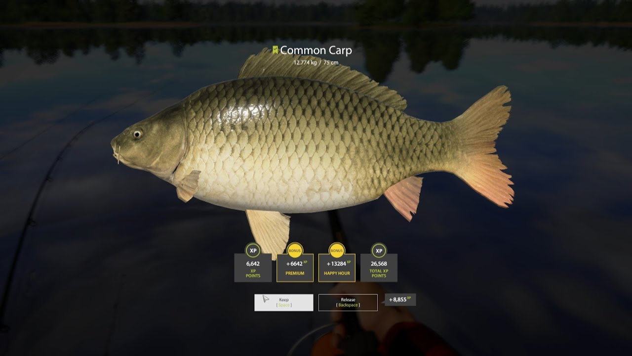 Russian Fishing 4 Carp Hot Spot Amber Lake 2020 1440p
