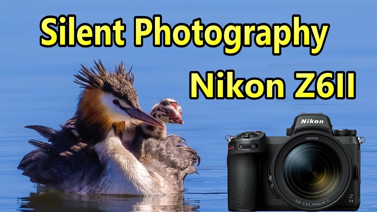 Nikon Z6II - Silent Photography for Wildlife Photography