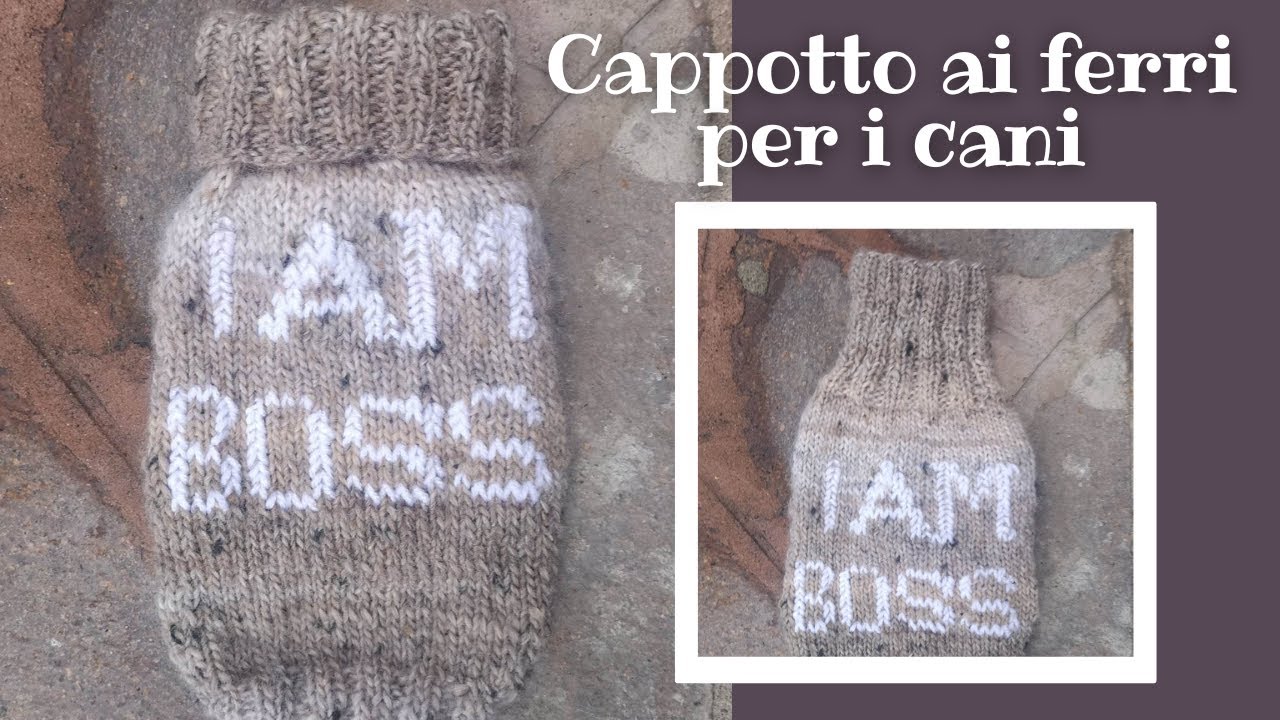 Maglioncino cane - Cappotto per i cani fatto ai ferri
