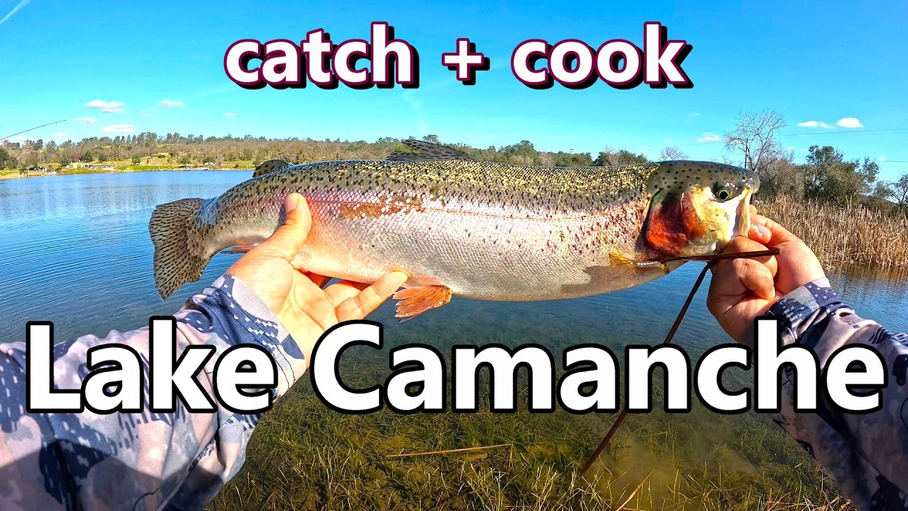 Catch and Fry with Lai