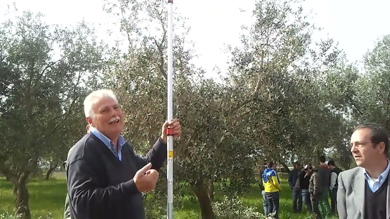 Giorgio Panelli pota un ulivo video 2014 03 15 09 13 58