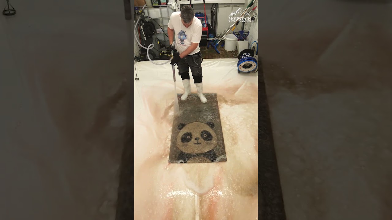 PANDA RUG CLEANING TRANSFORMATION!
