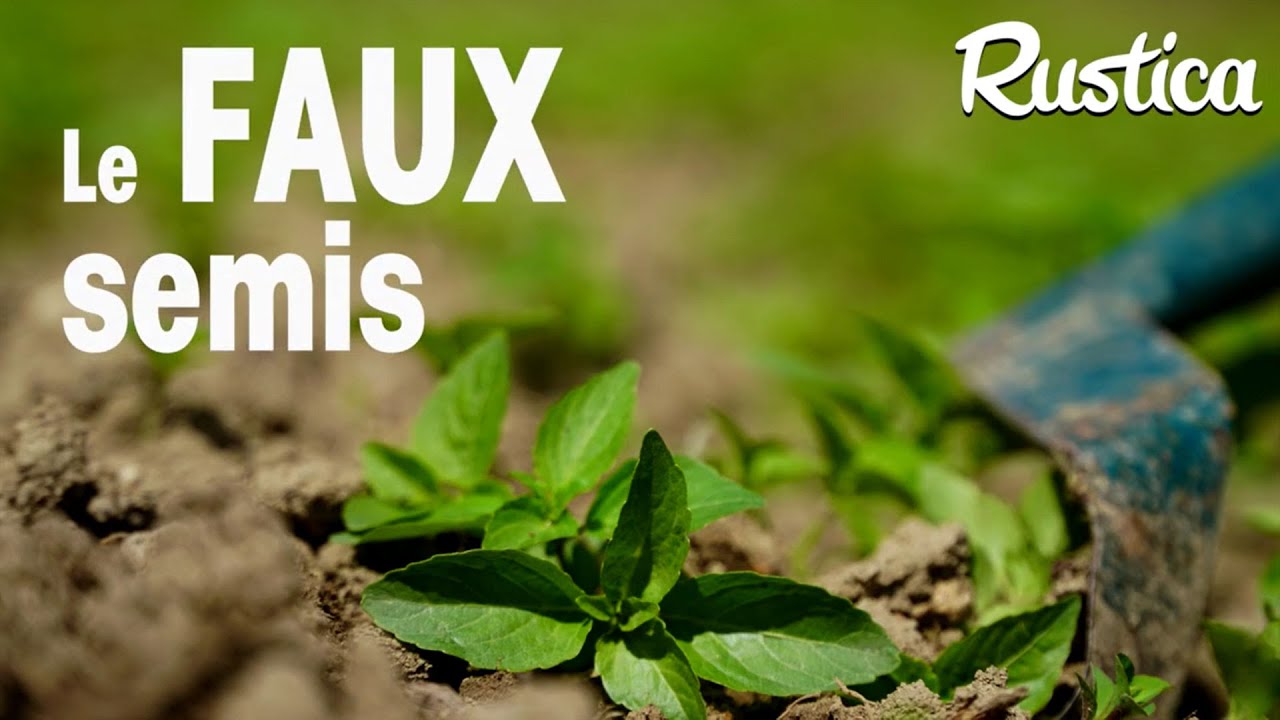 Le faux-semis une méthode bio pour limiter les mauvaises herbes