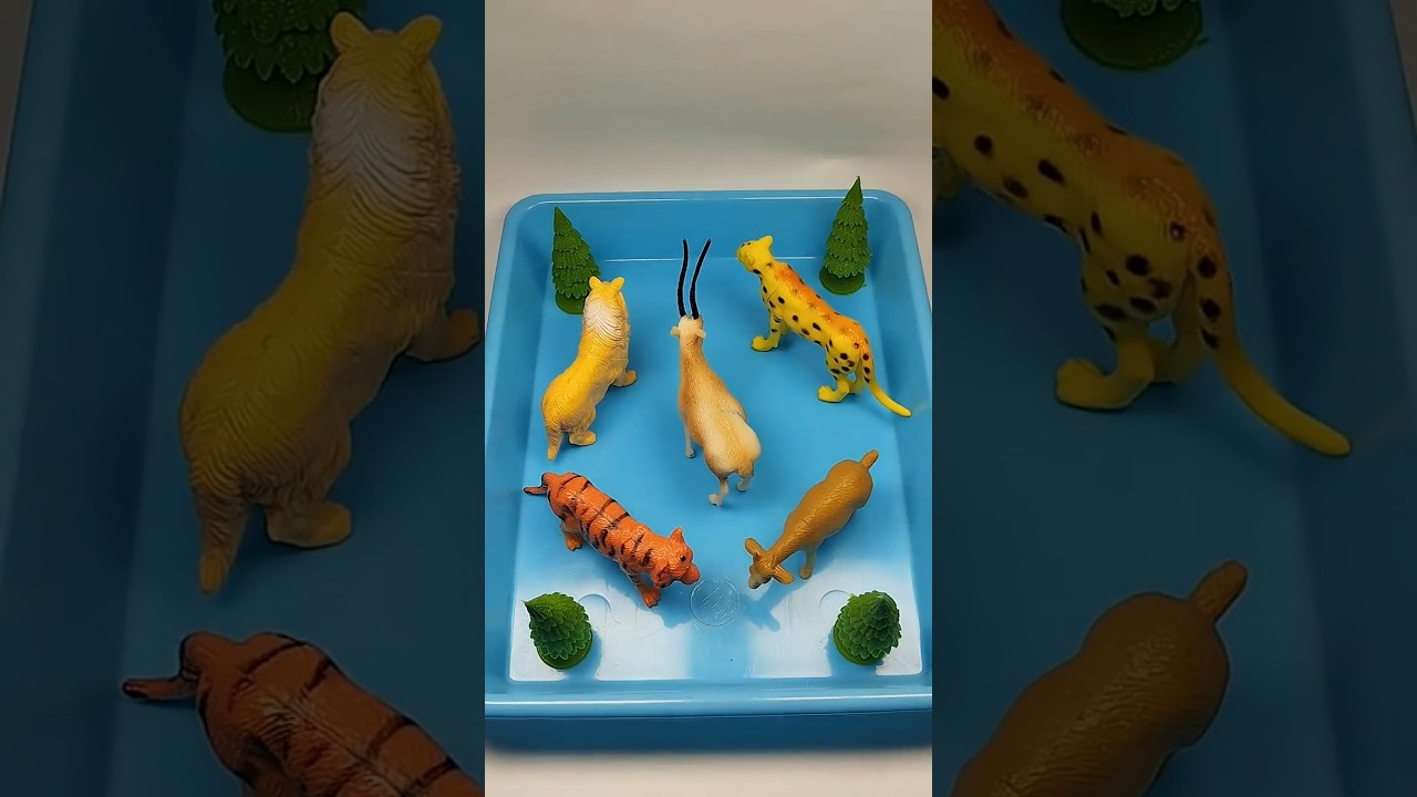 Animal Toys Asmr Oddly Satisfying