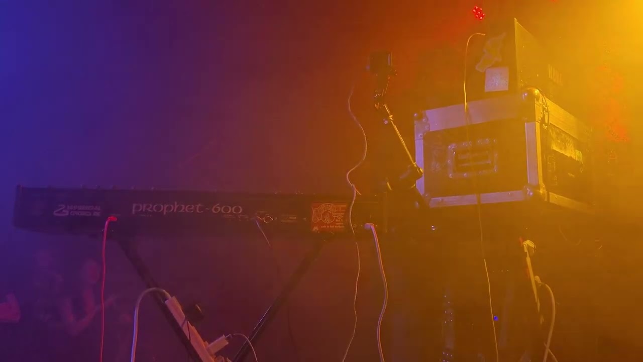 I Will Survive (Live Cover) - Look Mum No Computer