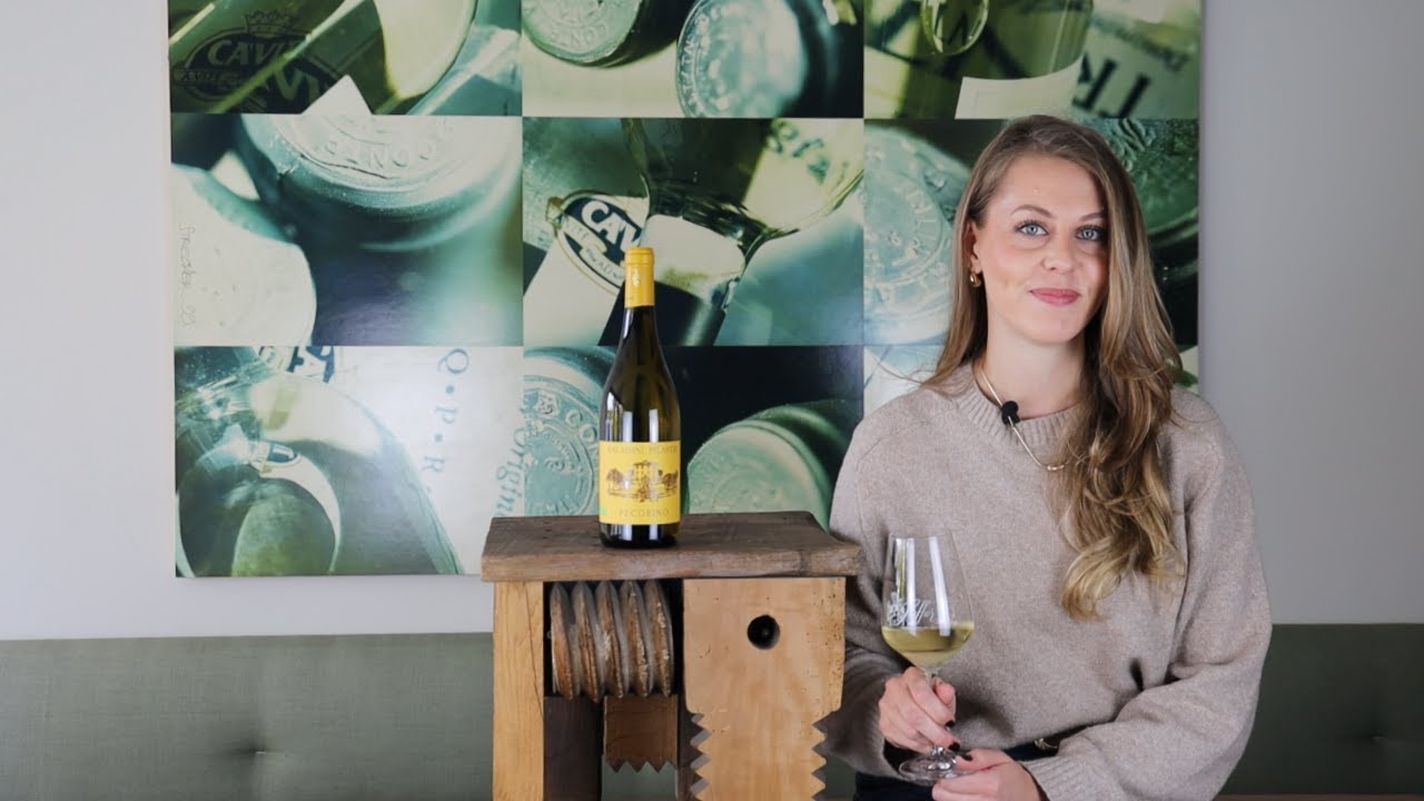 Wein erklärt:Pecorino Falerio DOC Saladini Pilastri BIO Marken Italien Weißwein trocken