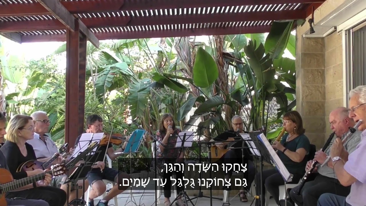 סתיו בחלונות