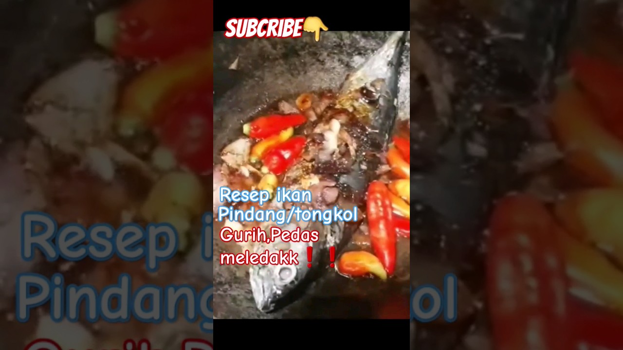 ikan pindang tongkol gurih pedas #mukbang #resep2023 #ikanpindang#fypシ #fish #shorts