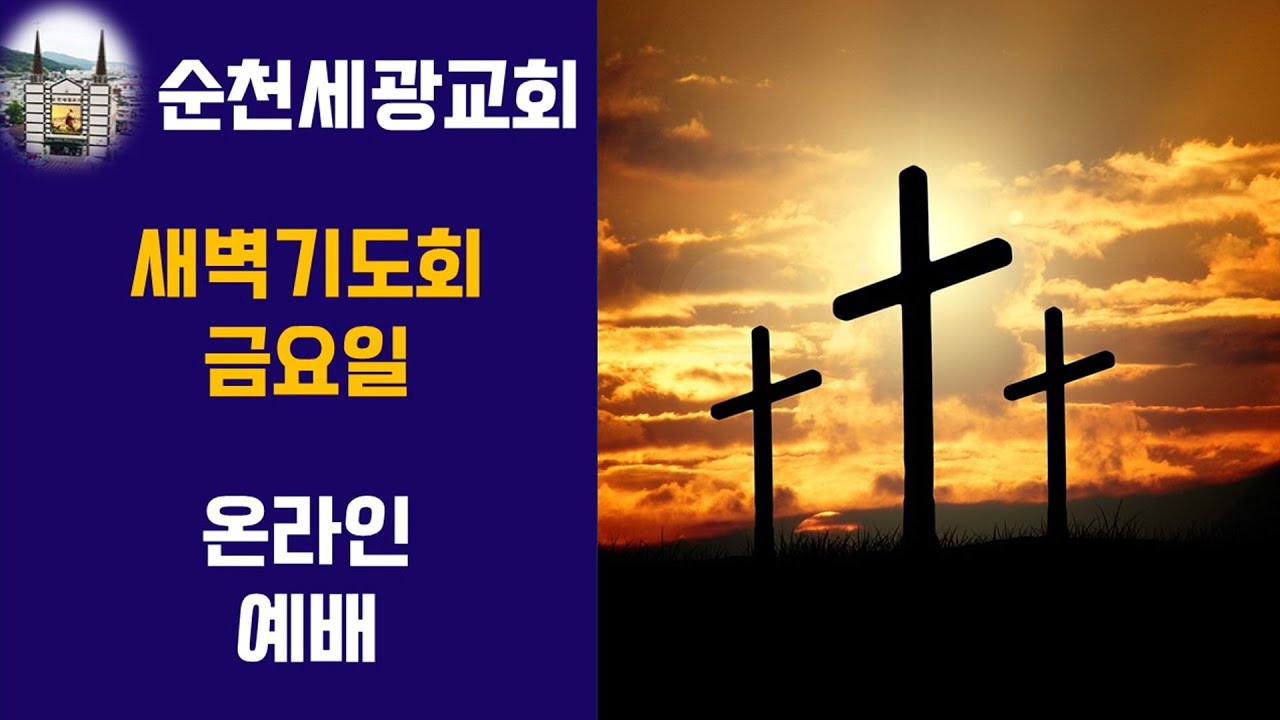 순천세광교회 1월 23일 새벽기도회(실시간온라인)