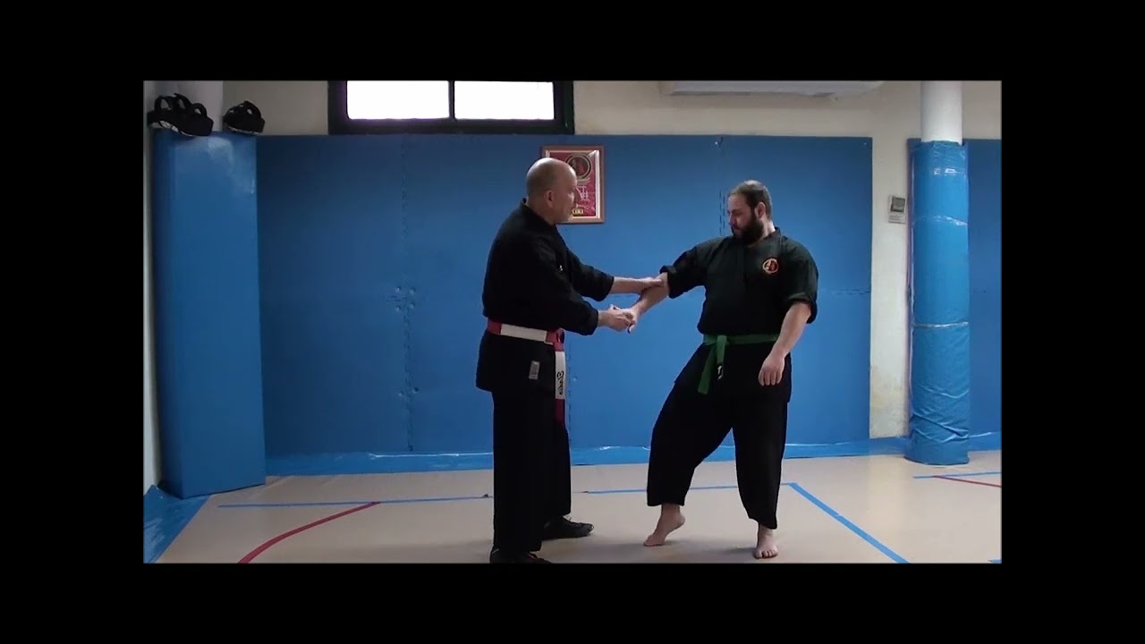 Principios dinamizadores del Kyusho Jitsu: Ataque puntos del Meridiano.