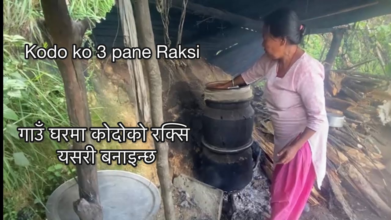 कोदोको ३ पाने रक्सि यसरि बनाइन्छ | Kodo ko tin pane Raksi | Nepali Village Life | Rural Nepal 