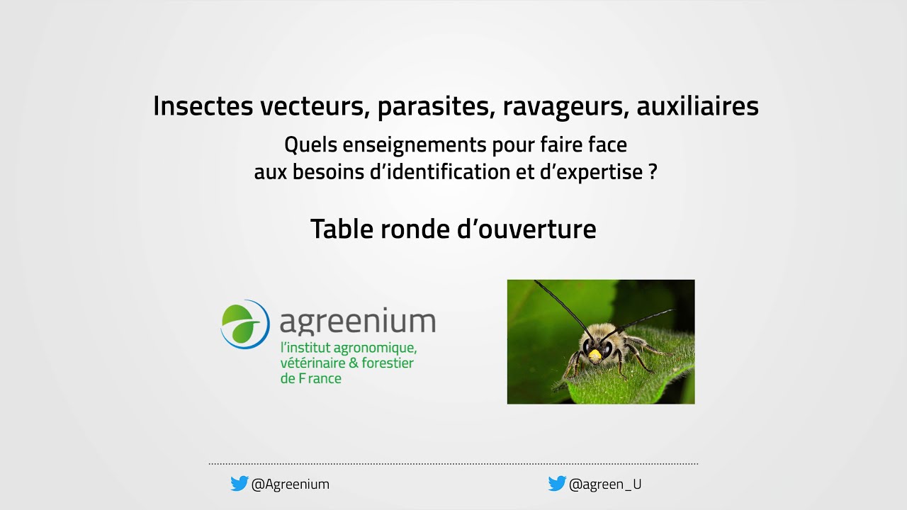 Insectes vecteurs, parasites, ravageurs, auxiliaires