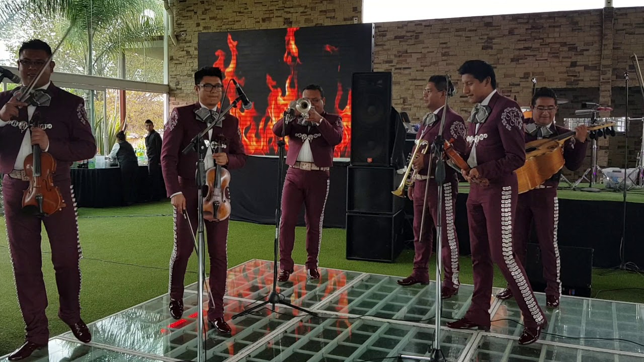 LAS BODAS DE LUIS ALONSO /MARIACHI MEXICANISIMO