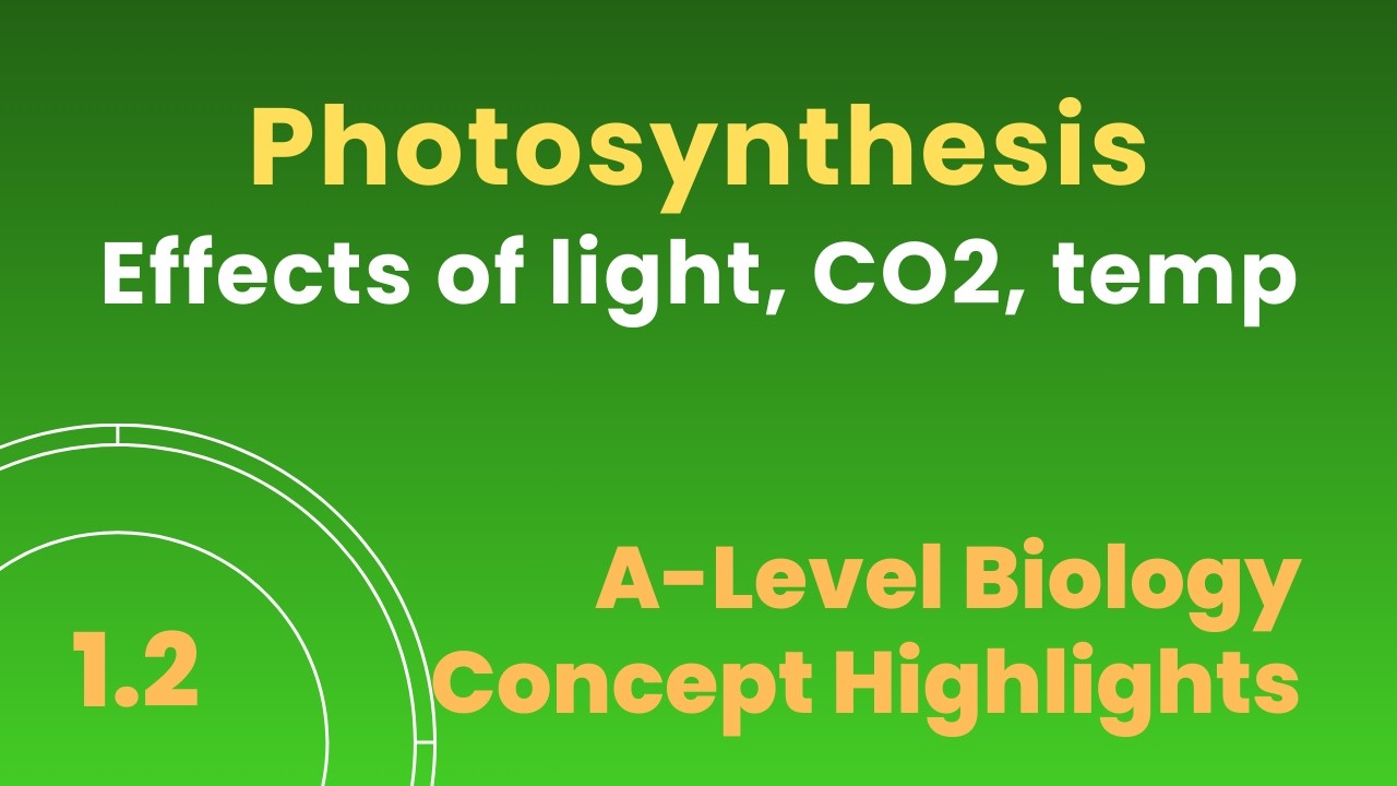 3.109 Влияние света, CO2 и температуры на фотосинтез