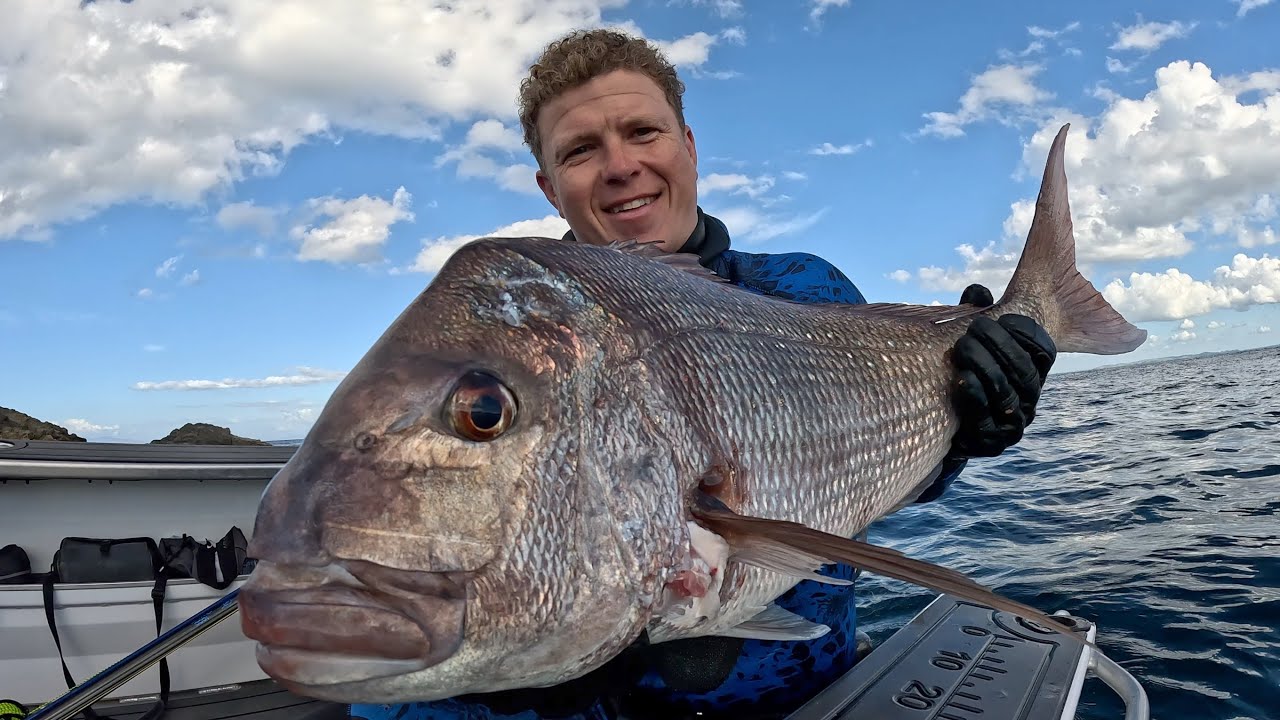 Adrenaline-Fueled Spearfishing with Shark for Snapper!