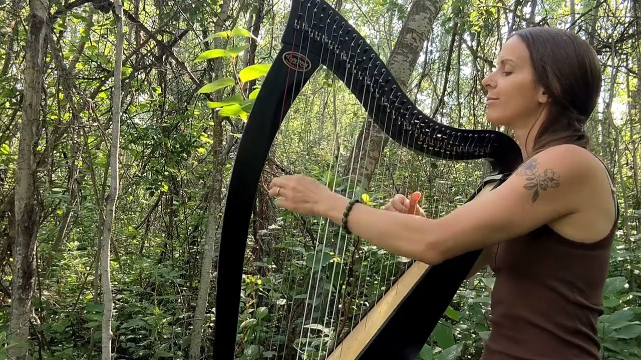 The House of the Rising Sun ~ Harp arrangement + sheet music