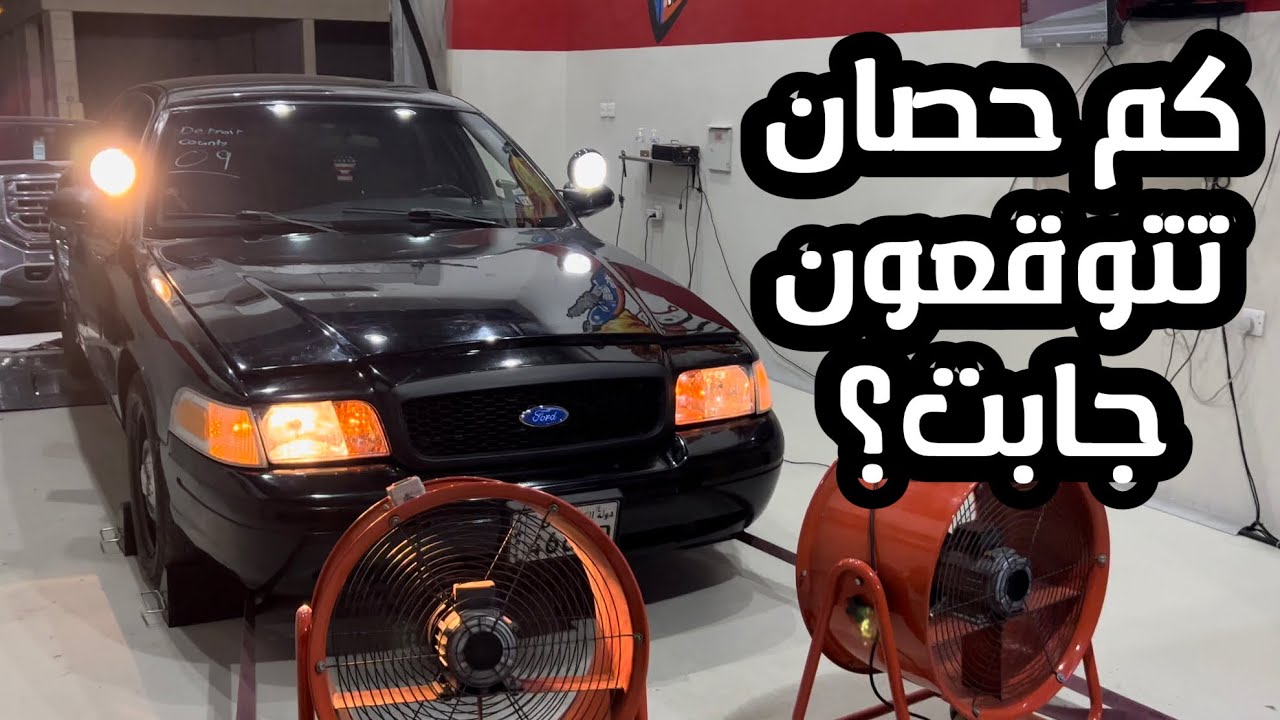 دخلت الفورد الداينو 🤣 صدمني رقم الاحصنه
