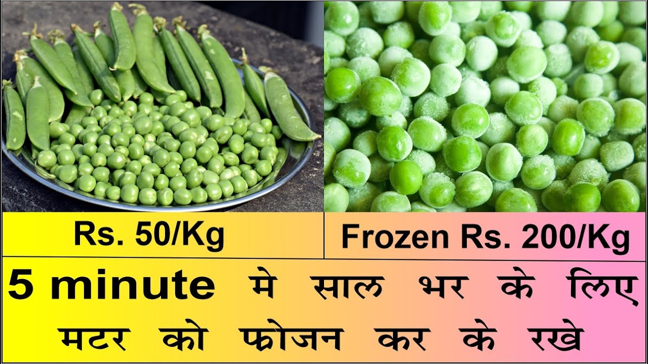 method to store green peas for 1 year | how to make Frozen green peas | preserve green peas