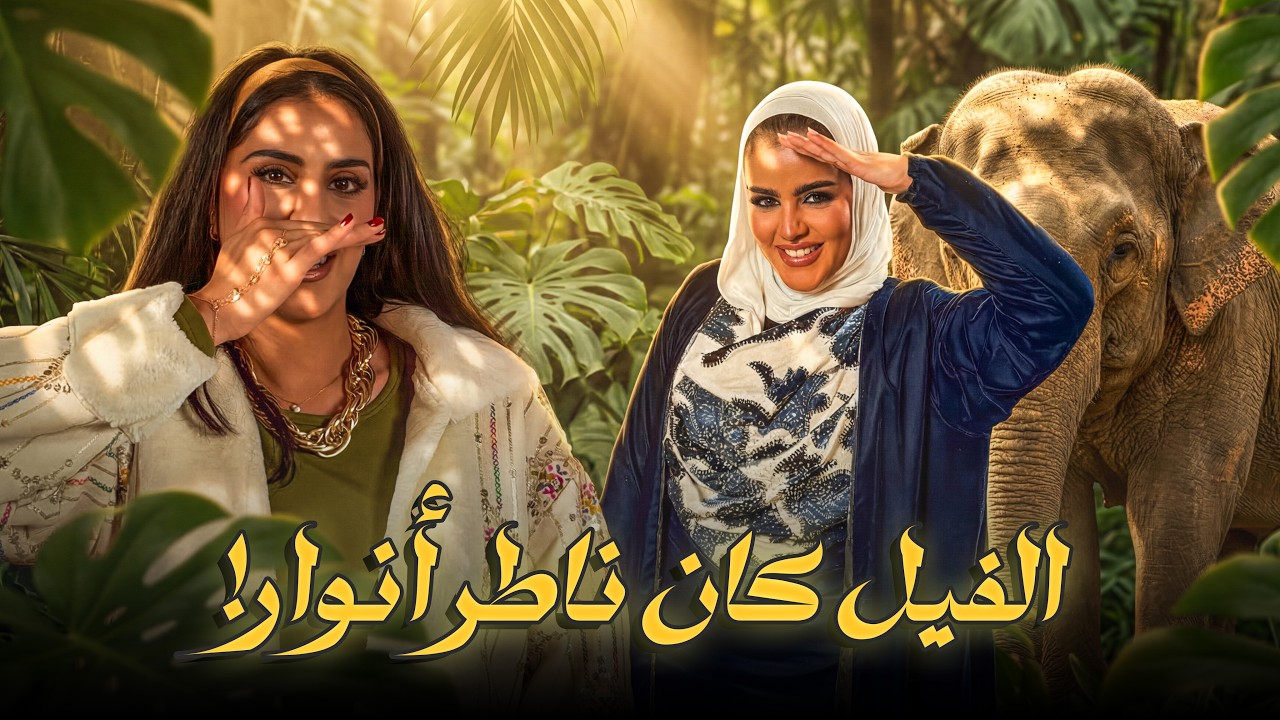 الفيل كان خاطر أنوار! | انوار ضد فُله