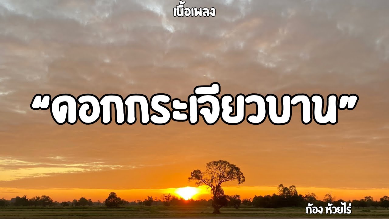 ดอกกระเจียวบาน | ก้อง ห้วยไร่ (เนื้อเพลง)🎶🎵🎧
