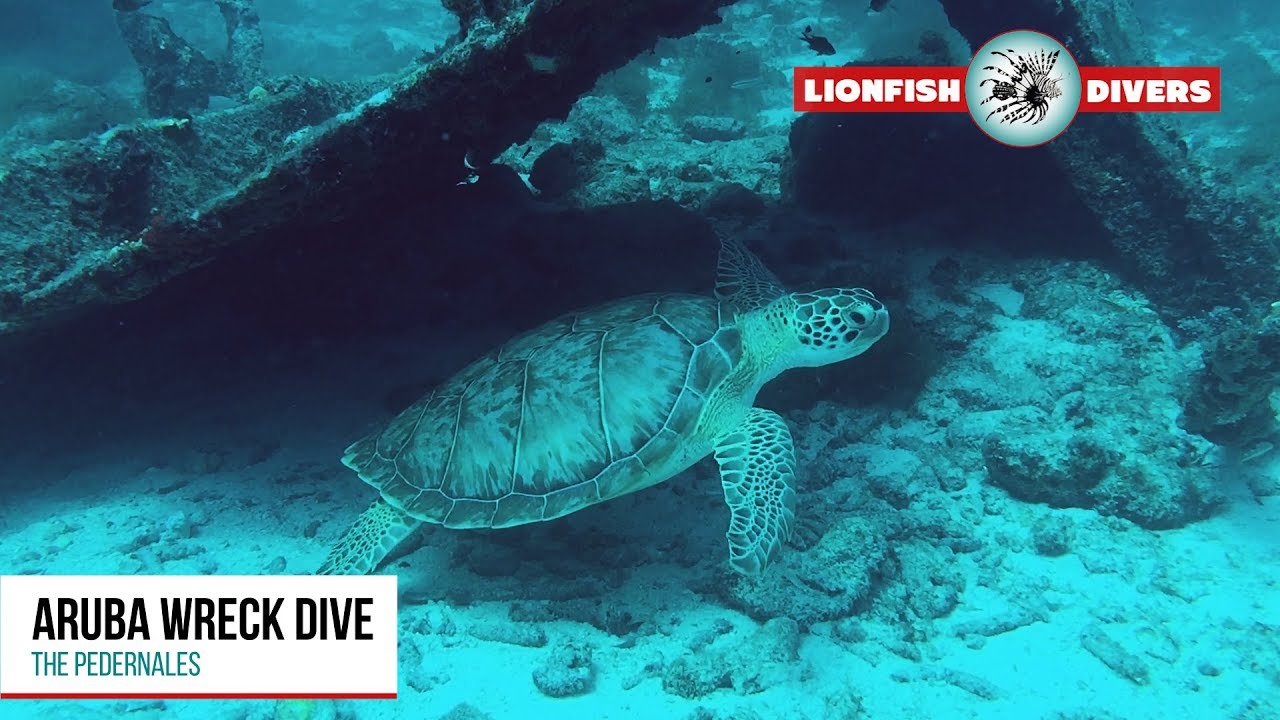 Aruba Wreck Dive - The Pedernales