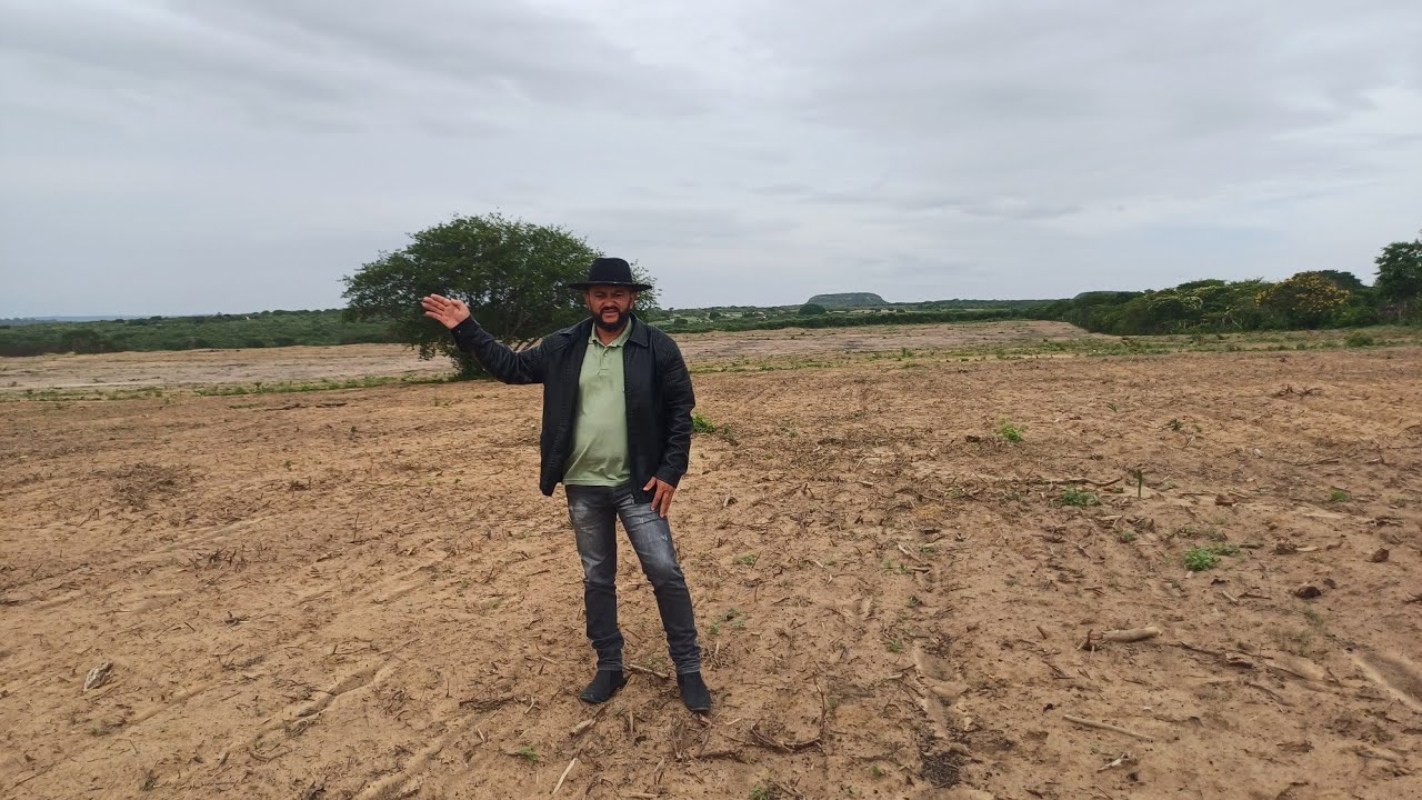 Vendo barato 75 hectares essa uma grande oportunidade 8799102 3154 