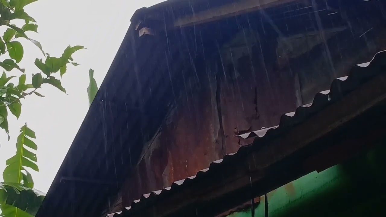 ASMR Rain on Tin Roof: Crisp Rain Sounds & Soothing Rolling Thunder Sounds