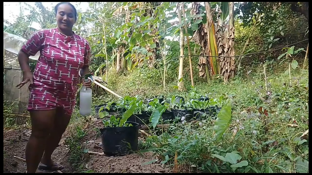 Harvest time ulit 🙏🙏🙏