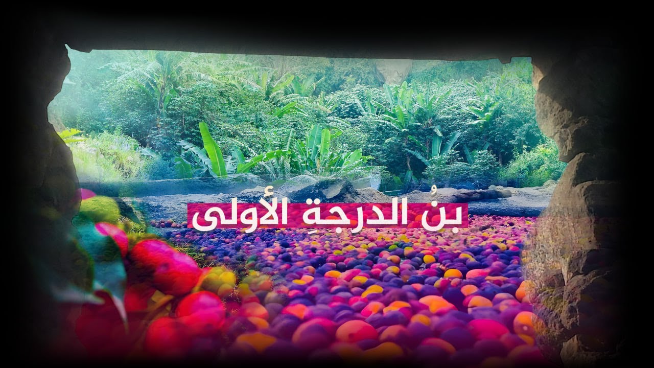 بنُ الدرجة الأولى..
