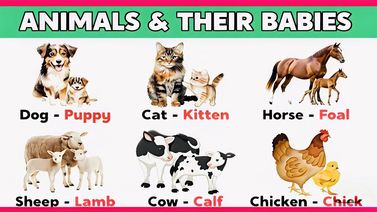 🐶🐱 Animals and Their Babies | Baby Animals Names | Animals and Their Babies Name in English