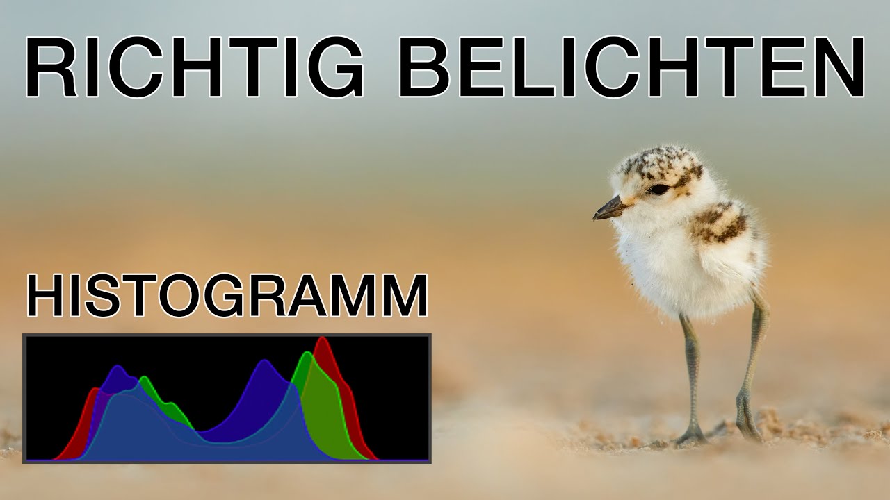 Wie ihr eure Fotos richtig belichtet - Teil 1: Histogramm einfach erklärt