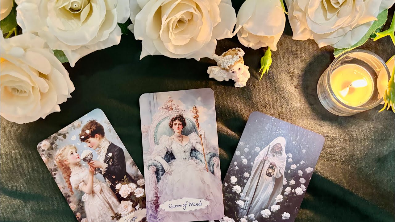 Обзор колоды «White Rose Tarot» 🤍✨🤍Таро Белой Розы.