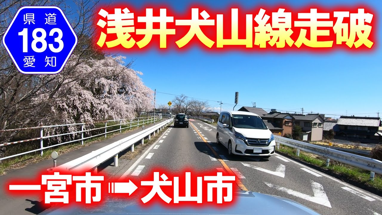 【県道･車載動画】早春の愛知県道183号を走破 (愛知県一宮市→犬山市)