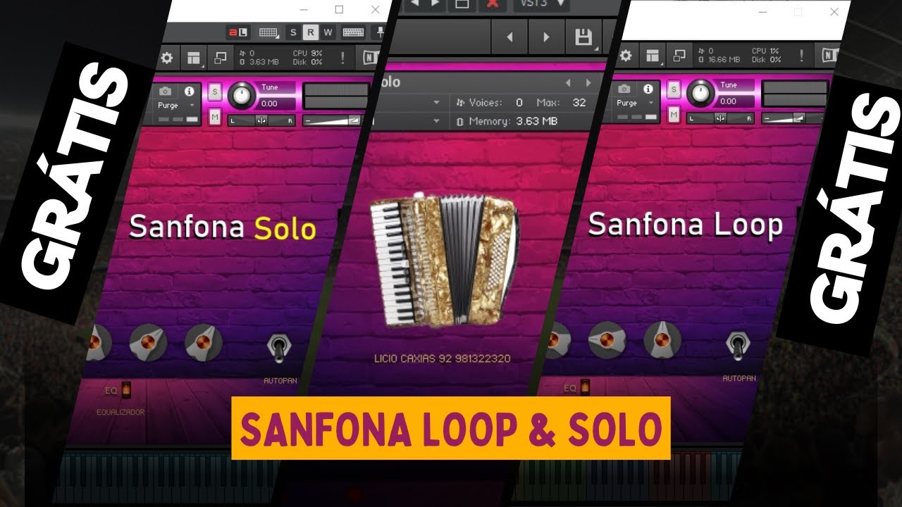 acordeon loop & solo (forrozão) grátis