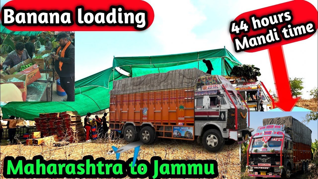 Mandi Time 44 Hours | Banana 🍌 Load | Maharashtra (savda) To Jammu Fruit Mandi | Jaani Vlog|Jk11wale
