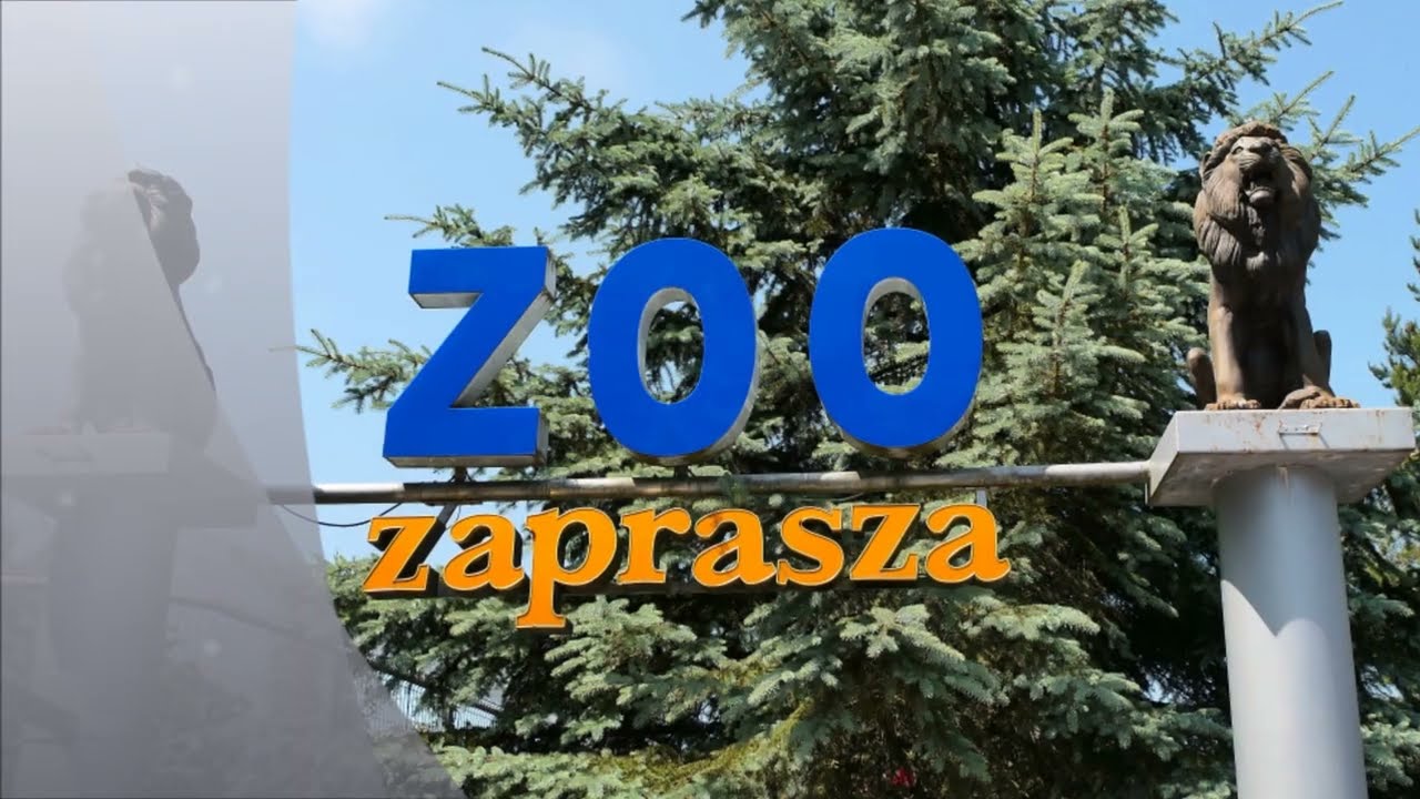 ZOO Canpol - Sieroczyn k. Człuchowa (21.06.25)