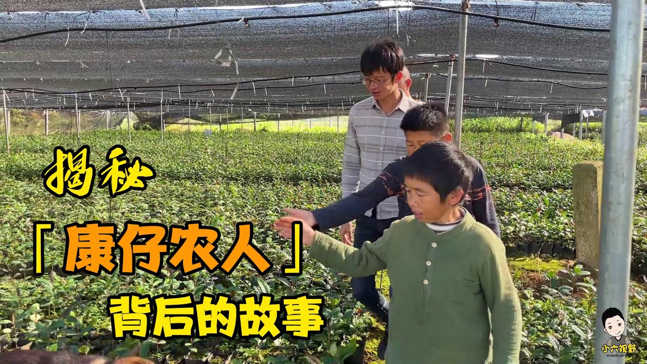 沒想到康仔有3個果苗培育場，粉店也開了6年，原來拍視頻只是副業