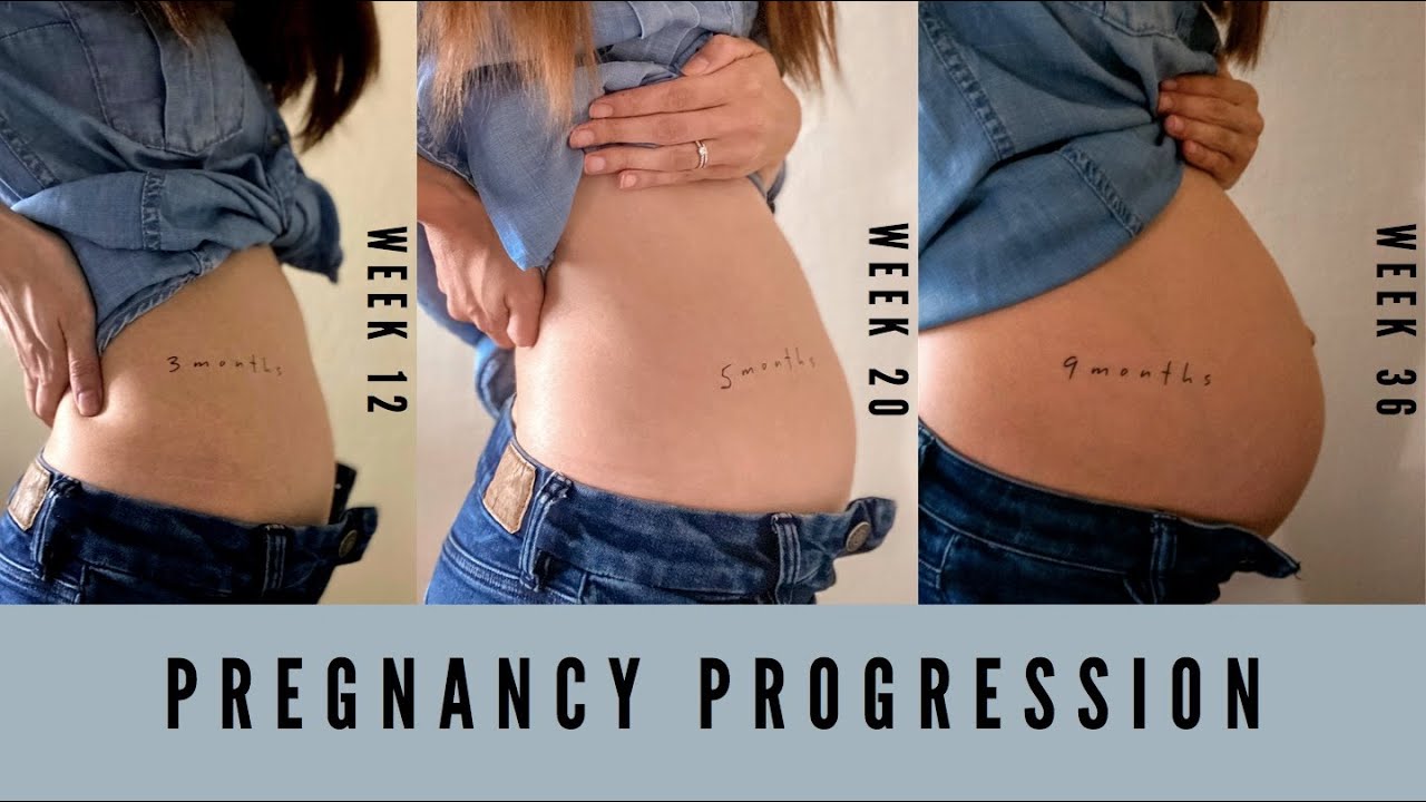 Pregnancy Bump Progression | Week by Week