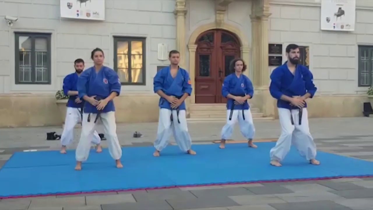 1 Petit tour d'horizon du Nanbudo (Partie 4)