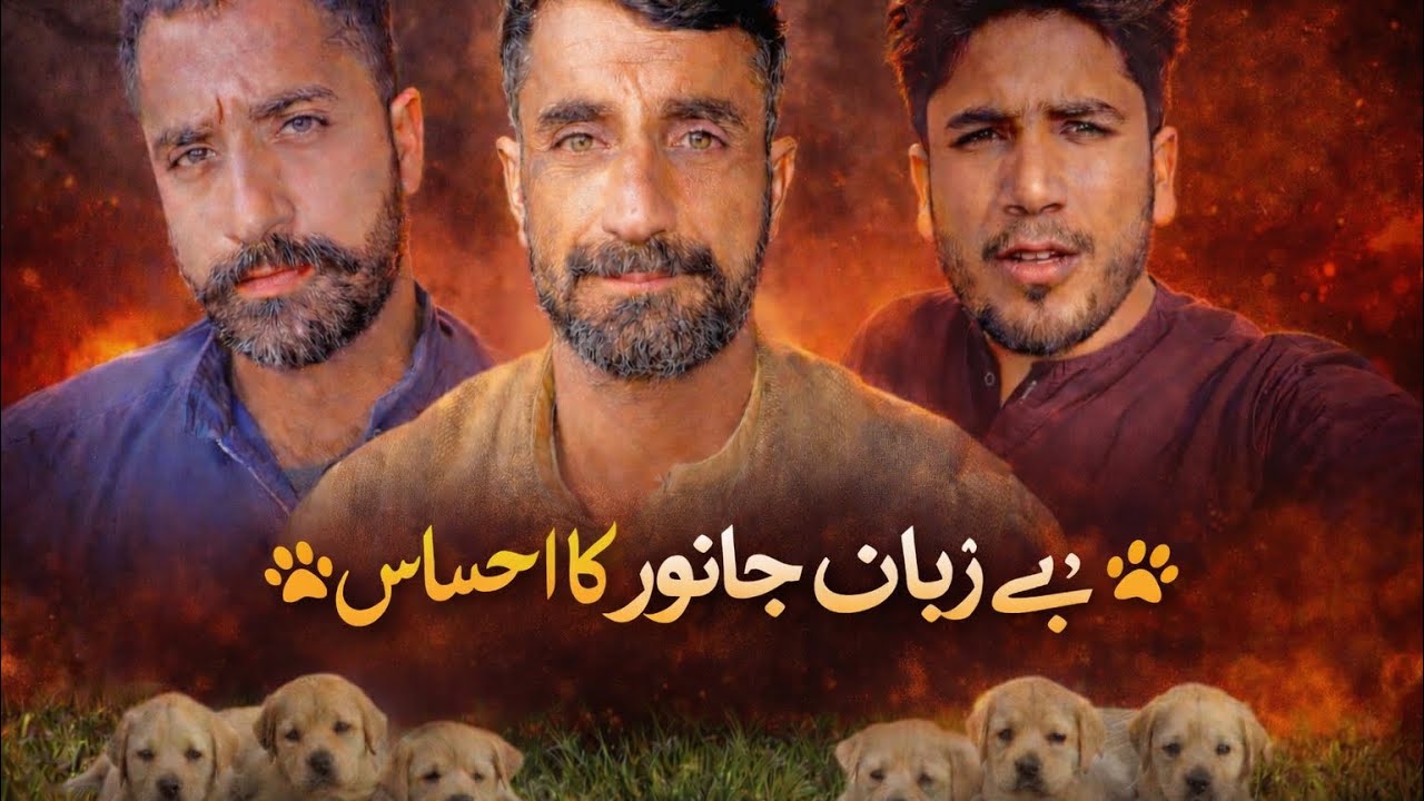 بے زبان جانور کا احساس