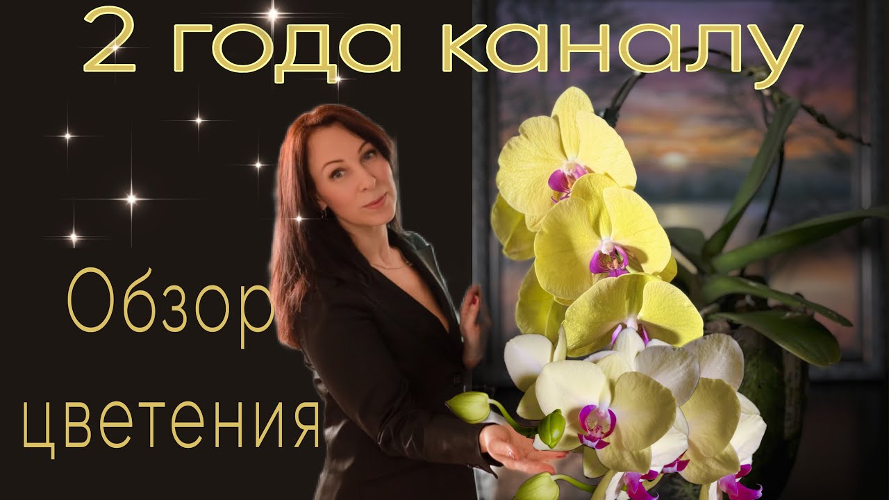 Блогерское ДР🎉Путешествие. Орхидеи цветут